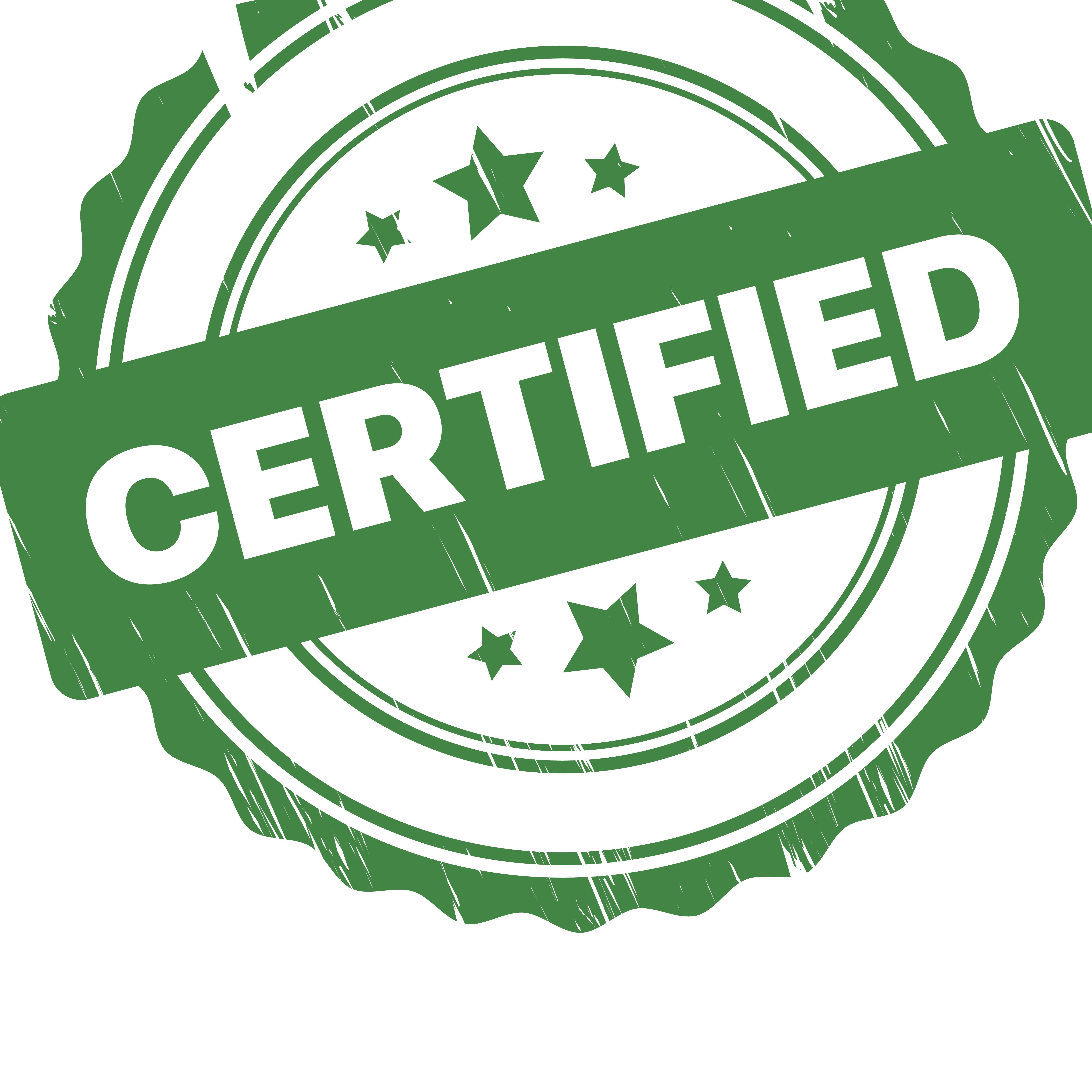 ISO Consultant