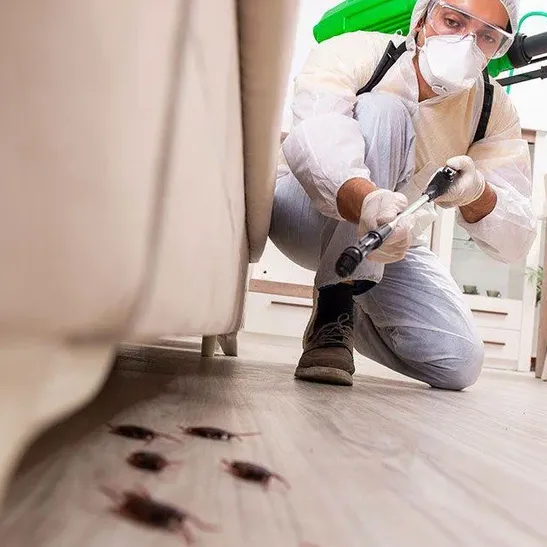 Superpest Control