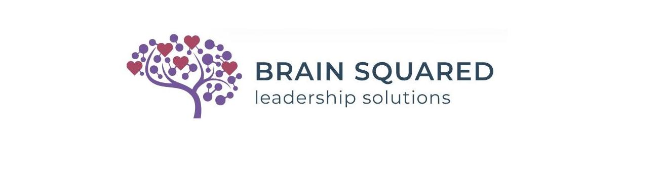 Brain Squared  Solutions Inc