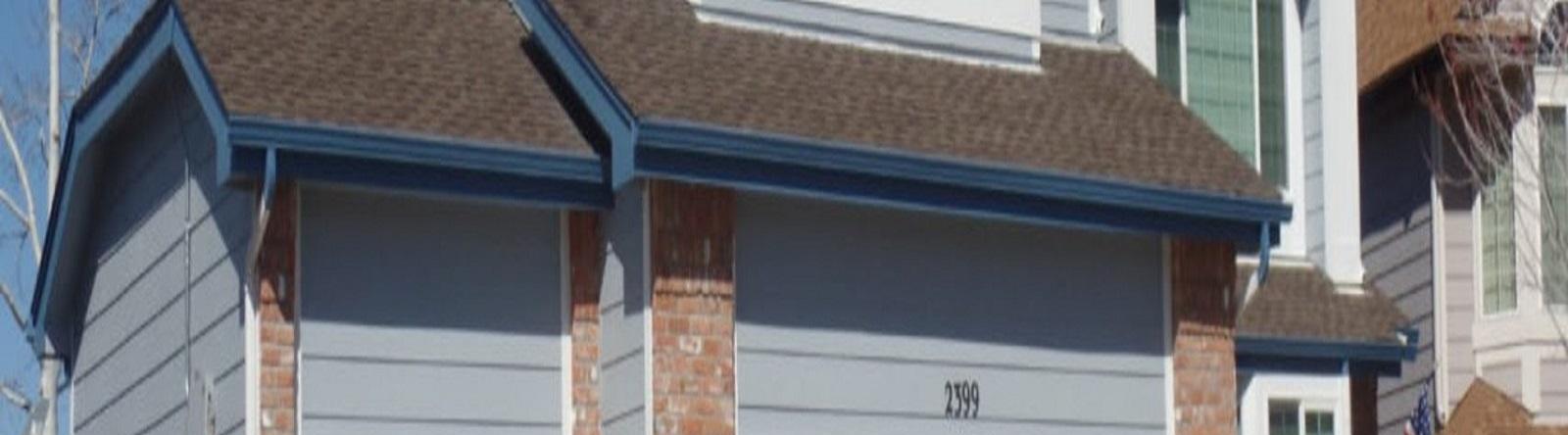 Pro Classic  Painting