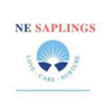 New Era  Saplings