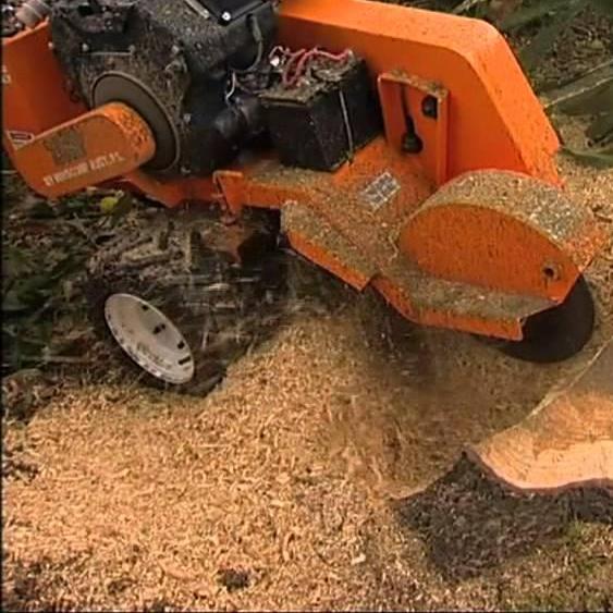 Stump Works Queensland