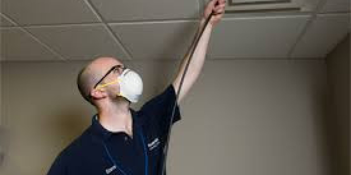 Benefits of air duct sanitizing for healthier indoor air?