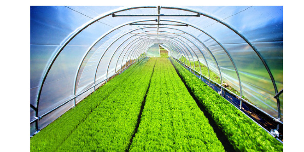 Greenhouse Film: Revolutionizing Modern Farming and Sustainability
