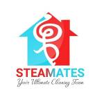 Steam mates